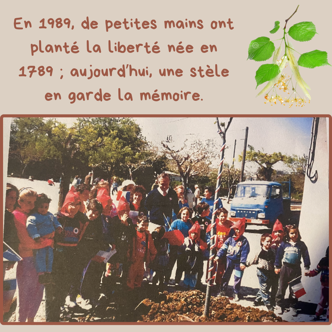 Votre texte de paragraphe