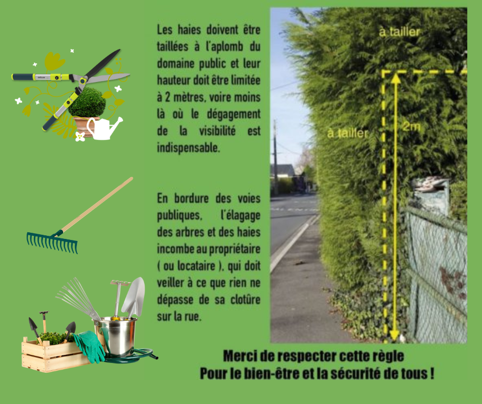 Design sans titre 2